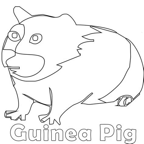 Ugly Guinea Pig