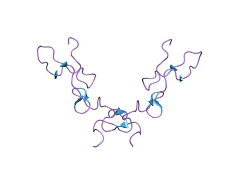 Blood protein in urine | General center | SteadyHealth.com