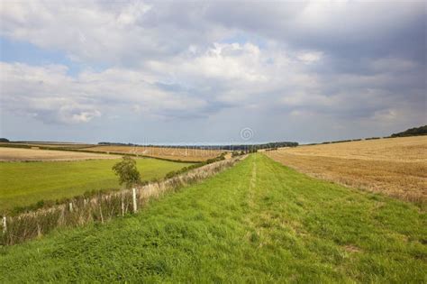 Late summer landscape stock image. Image of crops, english - 100287591