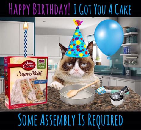 Grumpy Cat | Grumpy cat birthday, Happy birthday cat, Funny happy ...