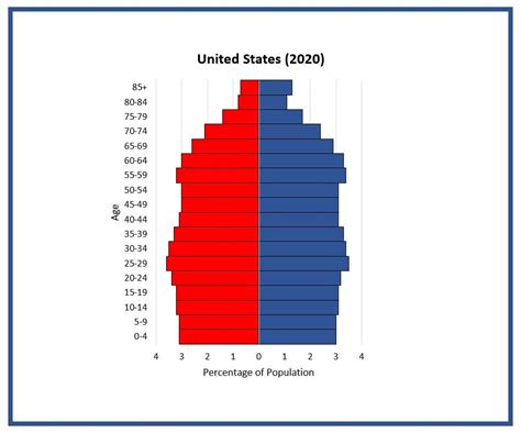 Us Population Pyramid 2024 - Aggy Lonnie