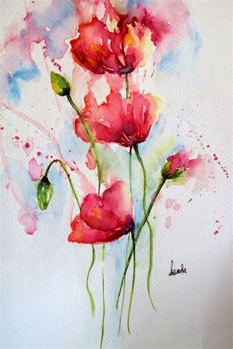 Poppy, poppies, flowers, floral, watercolor, watercolour, painting ...