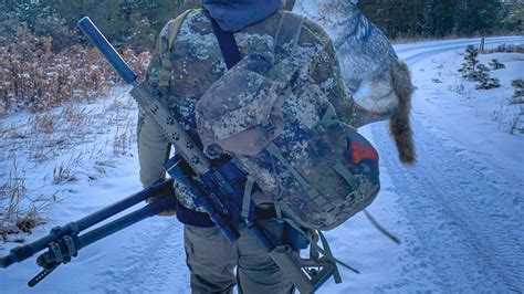 How to Hunt Coyotes With a Decoy - Montana Decoy