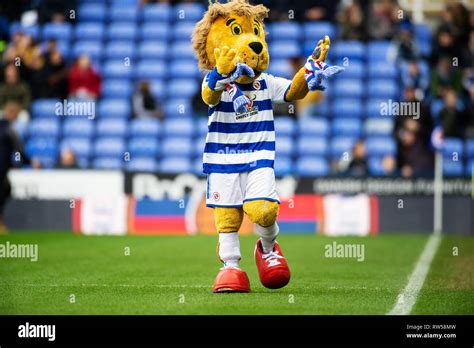 Reading mascot kingsley royal hi-res stock photography and images - Alamy