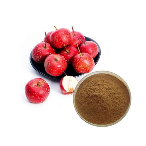 China Hawthorn Berry Extract factory and manufacturers | Ruiwo