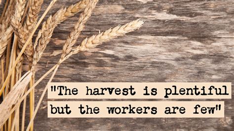 THE HARVEST IS PLENTIFUL, BUT THE WORKERS ARE FEW | Deer Flat Church