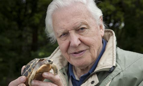 David Attenborough's Planet Earth 2 to reveal urban wildlife secrets ...