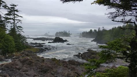 Pacific Rim National Park, Wild Pacific Trail [4640x2610] [OC] : r ...