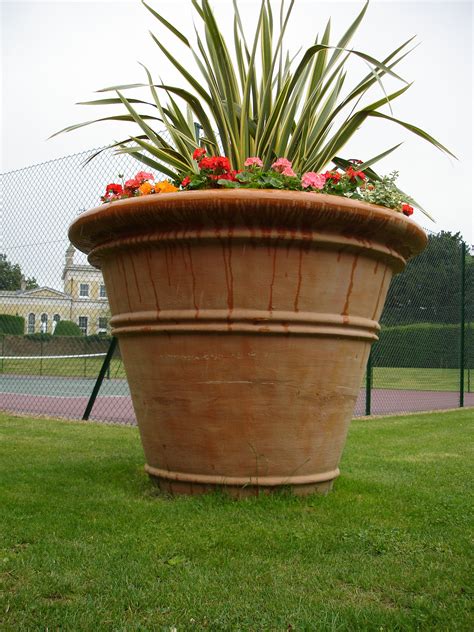 Large Terracotta Pot