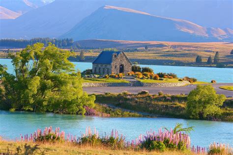 Lake Tekapo, New Zealand – Everything You Need to Know – Haka Tours Blog