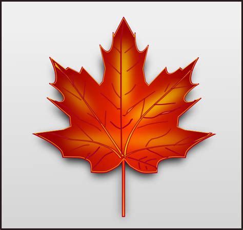 Canada Maple Leaf Clip Art