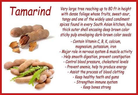 tamarind-health-benefits | Tamarind health benefits, Prebiotics, Vegan ...