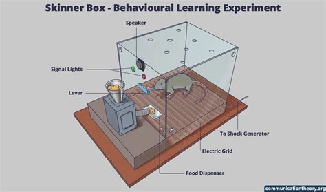 B.F. Skinner’s Theory of Operant Conditioning