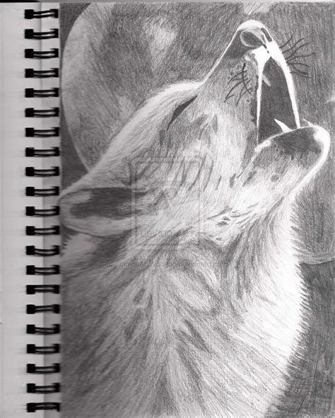 Howling Wolf Drawing by JanineArtWoohoo on deviantART | Wolf drawing ...