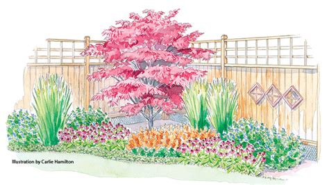 Hummingbird Garden Design