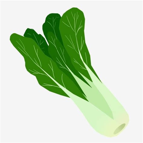 รูปGreen Greens Cartoon Illustration Vegetable Illustration Vegetables ...