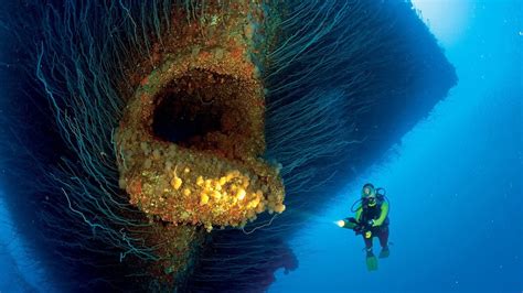 the wreck of the USS Saratoga CV-3 : r/megalophobia