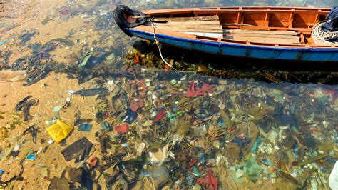 Plastic makes up nearly 70% of all ocean litter | Science | AAAS