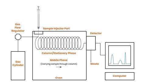 Column Gas Chromatography