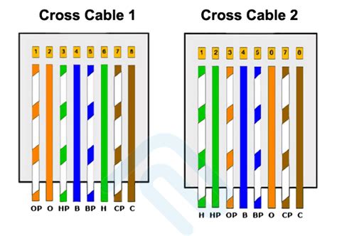 Kabel Cross: Pengertian, Urutan, dan Cara Membuatnya