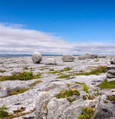 The Burren National Park | Things to Do | Claregalway Hotel