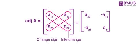 Adjoint of a Matrix (Adjugate Matrix) - Definition, Formula, Examples