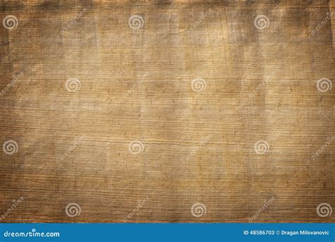 Papyrus paper texture stock image. Image of aging, dirty - 48586703