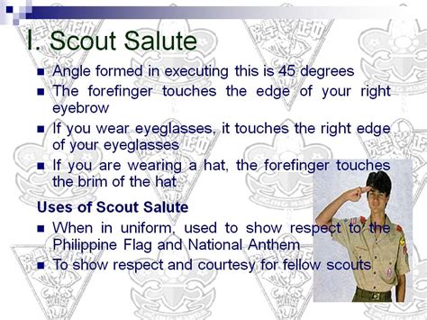 Scout Salute - LSVMS Boy Scouts of the Philippines