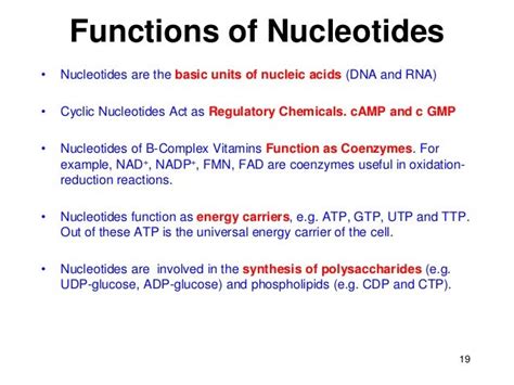 Nucleotide structure function dr m muzaffar mir