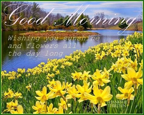 Good Morning Wishing You Sunshine And Flowers Pictures, Photos, and ...