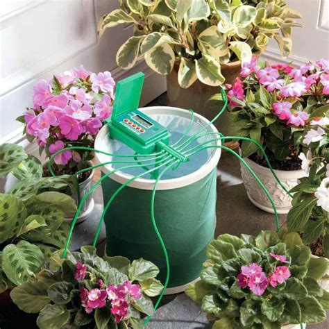 The Best Indoor Plant Watering System - Succulents Network