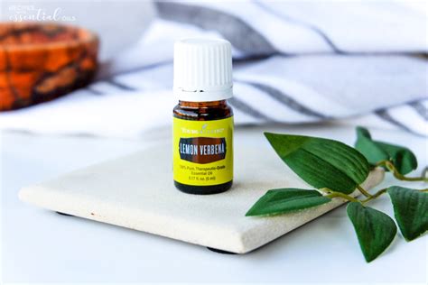 All About Lemon Verbena - Recipes with Essential Oils