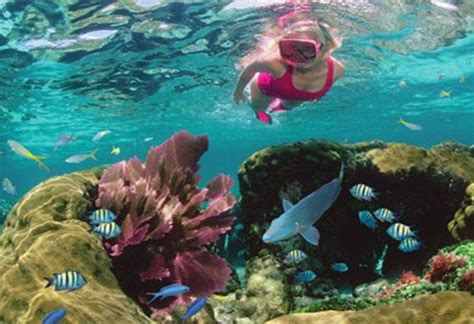 Top Beaches and Scuba Diving in Bermuda | Adventure Travel