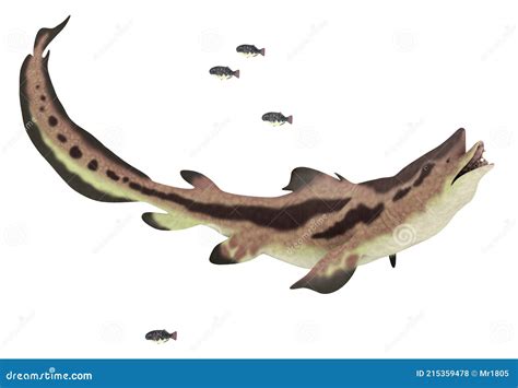 Edestus Shark Stock Image | CartoonDealer.com #92674201