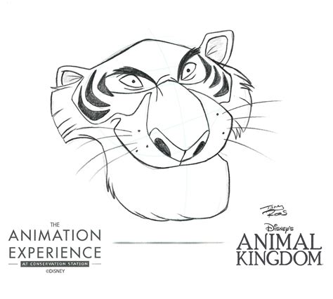 New Animal Character Drawing Tutorials Coming to The Animation ...