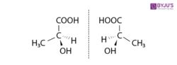 Examples of Enantiomers - Detailed Explanation with FAQs