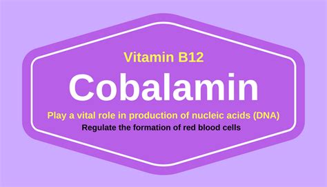 8 Amazing Health Benefits of Cobalamin (Vitamin B12) | Ayur Times