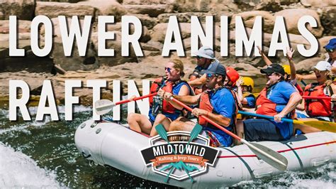 Durango Rafting - Whitewater Rafting In Durango, CO | Mild to Wild ...