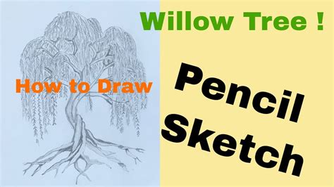 Pencil Drawing Of A Willow Tree