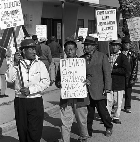 Workers United: The Delano Grape Strike and Boycott (U.S. National Park ...