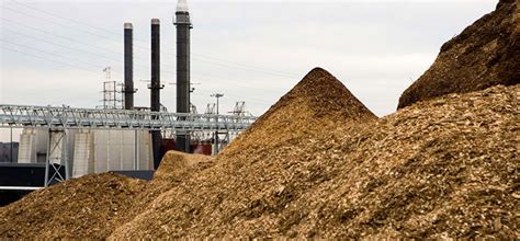 Waste recycling plant - turn biomass to biofuel briquette