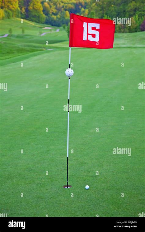 Golf flag on the green grass Stock Photo - Alamy