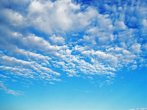 Bright Blue Sky With White Clouds Free Stock Photo - Public Domain Pictures