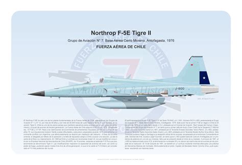 Lithography of Chilean Air Force Northrop F-5E, #J800 from 7th Squadron ...