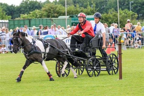 Driving Competition Horse Drawn Carriage Editorial Photo - Image of ...