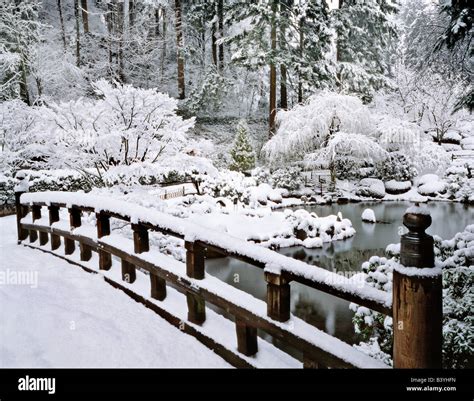 USA, Oregon, Portland. Winter snowfall on the Japanese Garden Stock ...