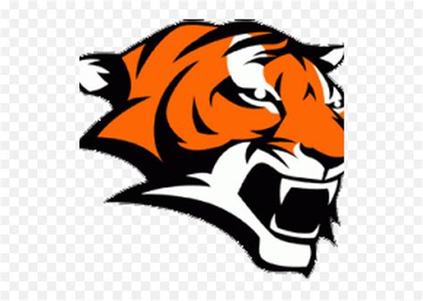 Board Marple Jr Tigers Football And Newtown - Andrew Jackson Marple ...