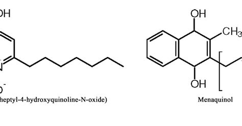 Crystal Structure of Quinol-dependent Nitric Oxide Reductase (qNOR ...