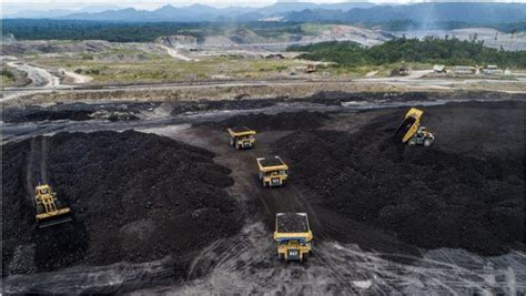 Indonesia's Coal is Still Far from Collapsing, Here Are the Evidences ...