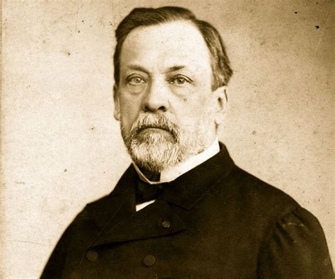 Louis Pasteur Wikipedia